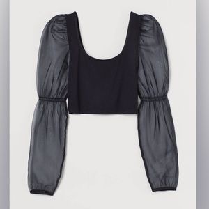 Organza Puff Sleeve Top